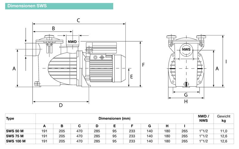 EBARA Schwimmbadpumpe SWS 100 M 230V/50Hz 0,75kW